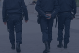 RECORDING: *Non-Member Pricing* 2022 February - Understanding the Thin Blue Line and what it means for Police Governance Authorities